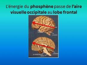 L’énergie du phosphène arrive dans la zone frontale du cerveau