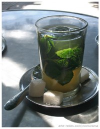infusin de thé verde